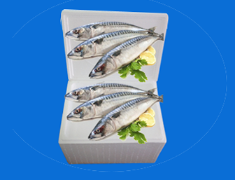 Sản Xuất Thùng Xốp Đóng Thủy Sản